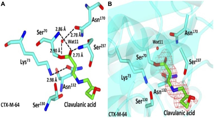 FIGURE 3