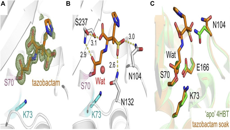 FIGURE 9