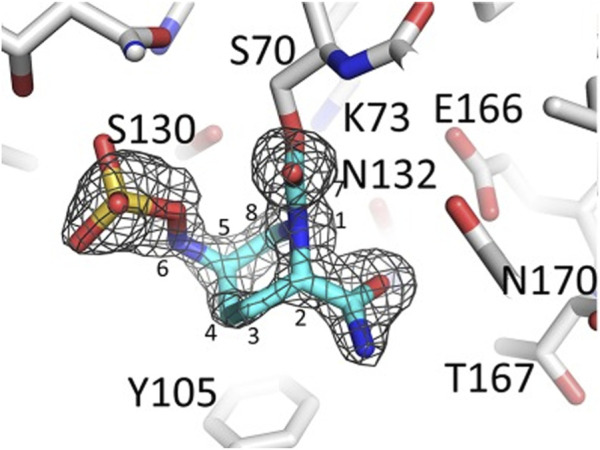 FIGURE 2