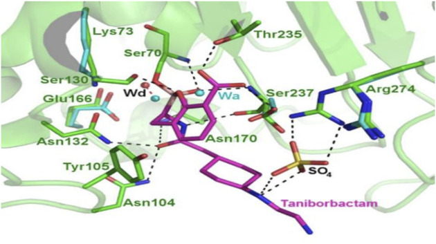 FIGURE 10