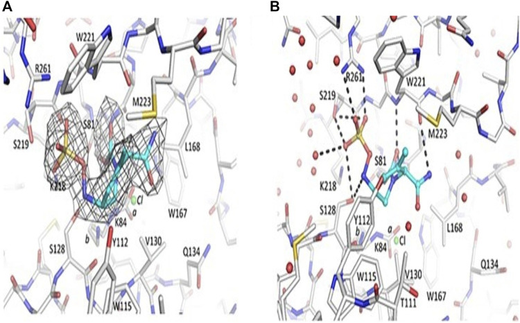 FIGURE 4