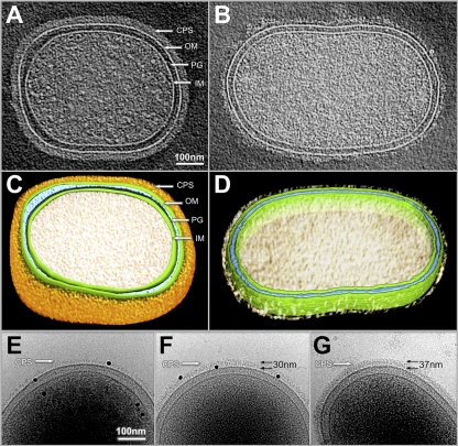 Fig 8