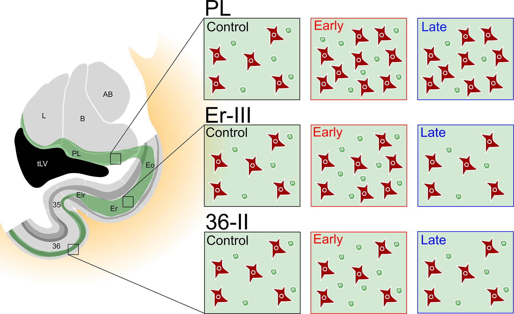 Figure 10.