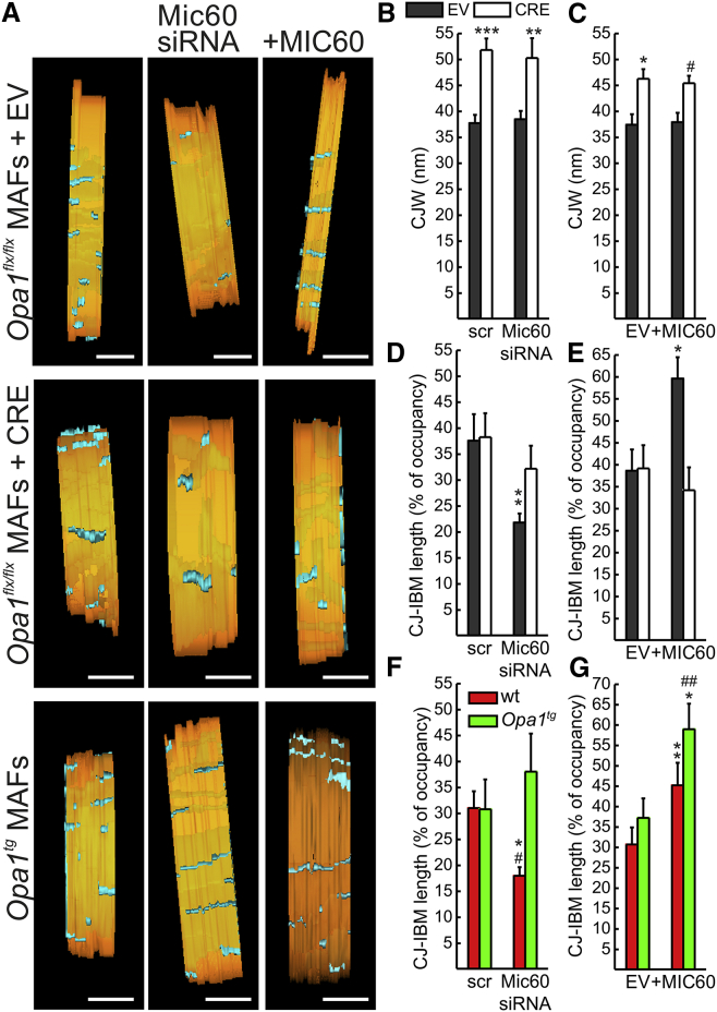 Figure 5