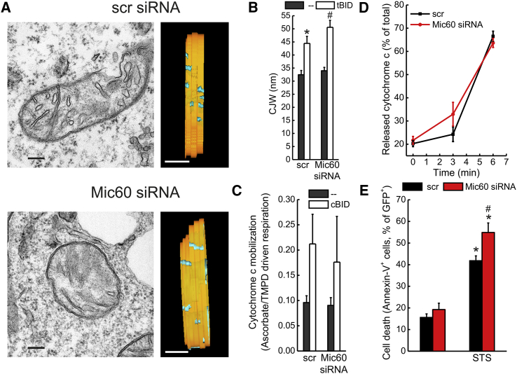 Figure 6