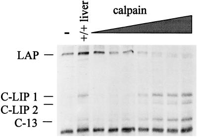 FIG. 8