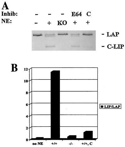 FIG. 7