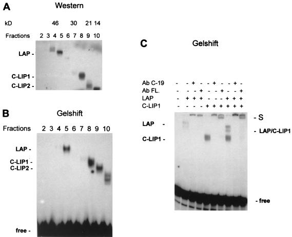 FIG. 6