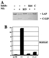 FIG. 7