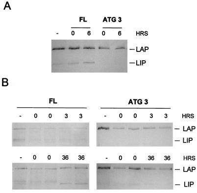 FIG. 9