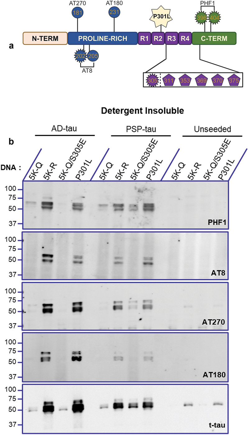 Figure 4: