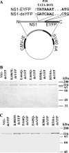 FIG. 2.
