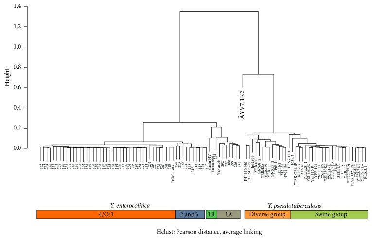 Figure 1