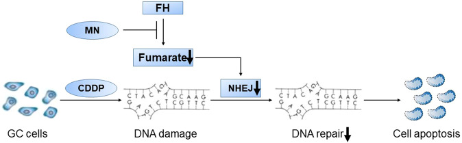 Fig. 7