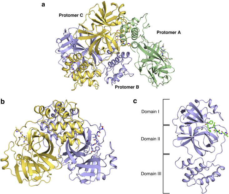 Fig. 1