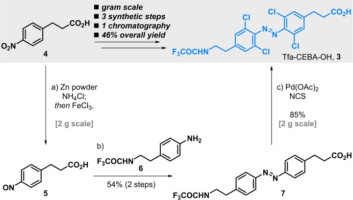 Scheme 1