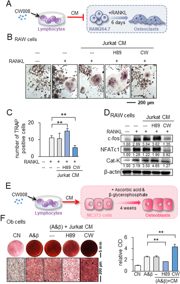 Fig. 4