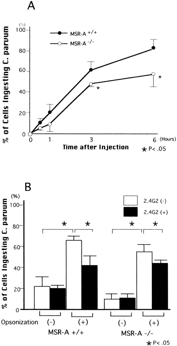 Figure 12.