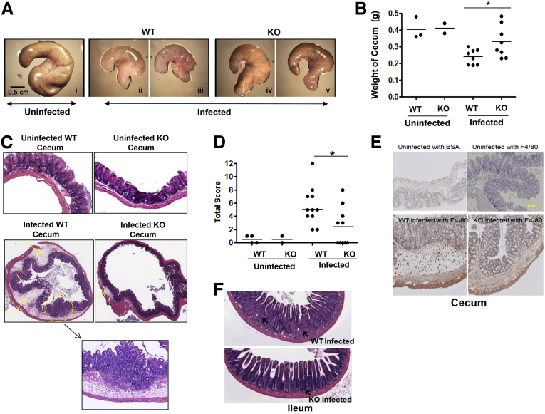 Figure 6