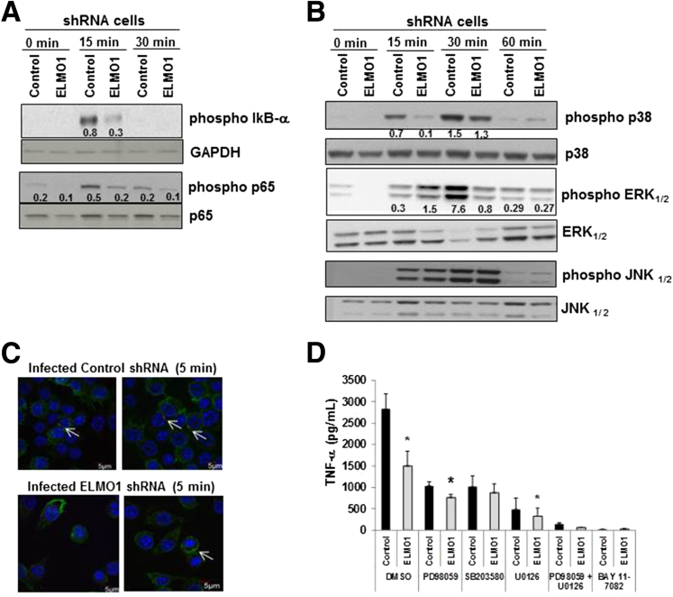 Figure 4