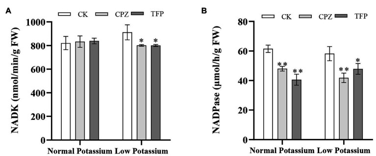 Figure 12