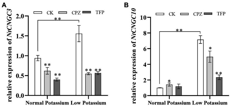 Figure 14