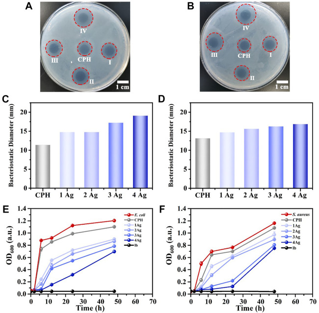 FIGURE 4