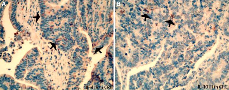 Fig. 5