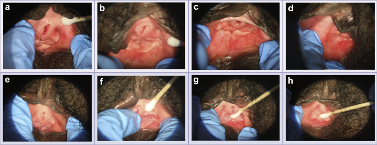 Figure 3