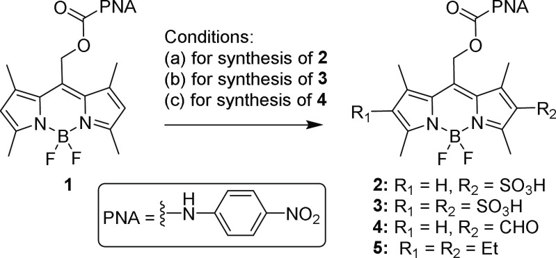 Scheme 2