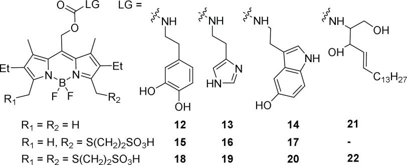 Scheme 4