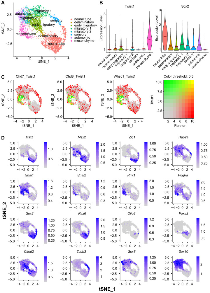 Figure 4—figure supplement 2.