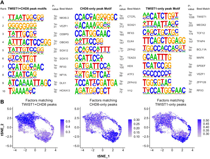 Figure 4—figure supplement 3.