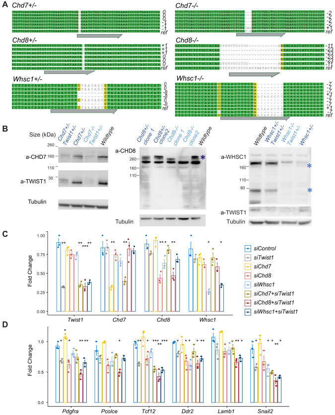 Figure 3—figure supplement 1.