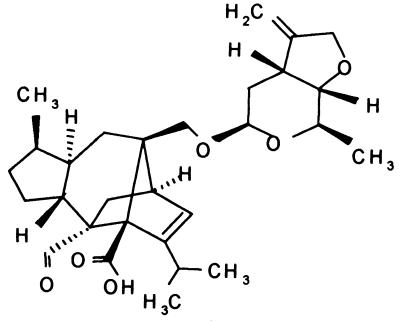 FIG. 1