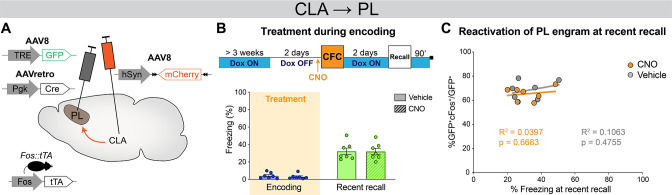 Figure 5—figure supplement 3.