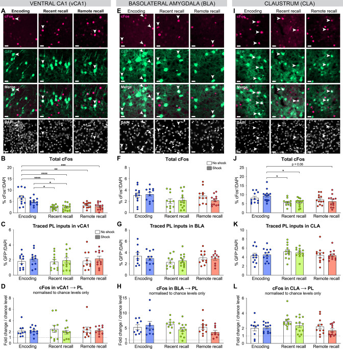 Figure 3—figure supplement 2.