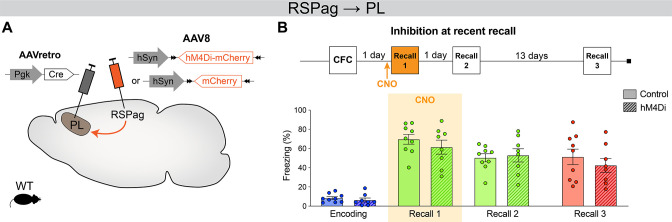 Figure 4—figure supplement 3.