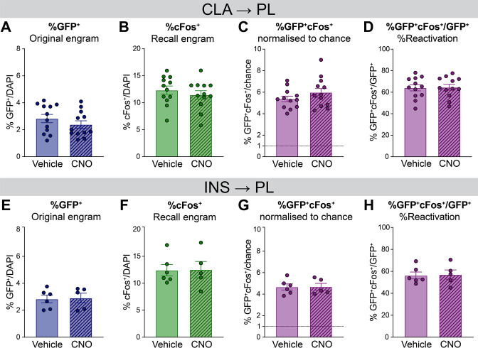 Figure 5—figure supplement 1.