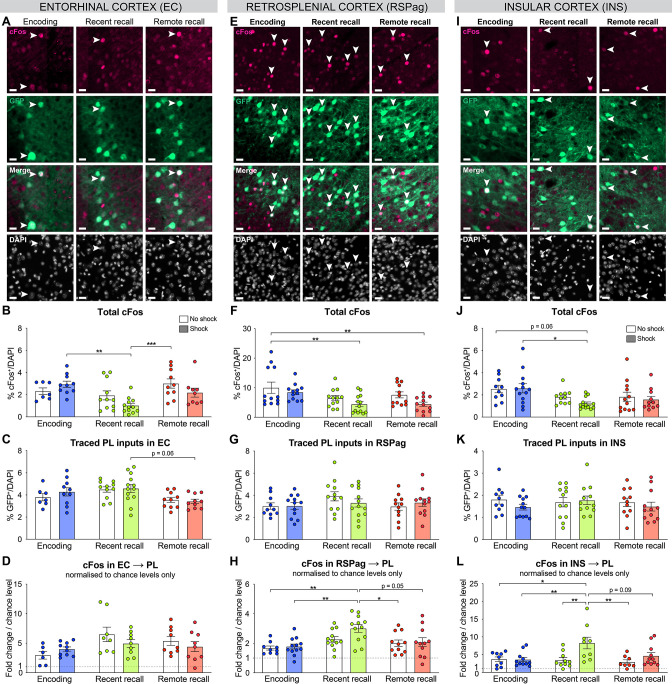 Figure 3—figure supplement 1.