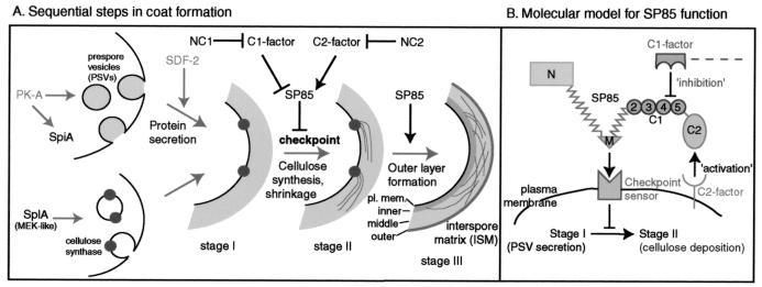 FIG. 9.