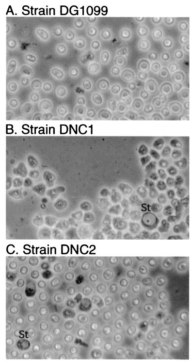 FIG. 7.