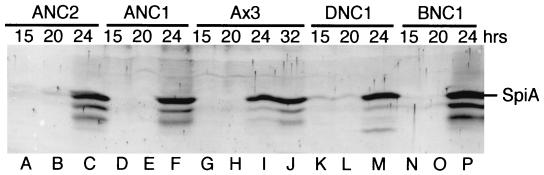 FIG. 5.