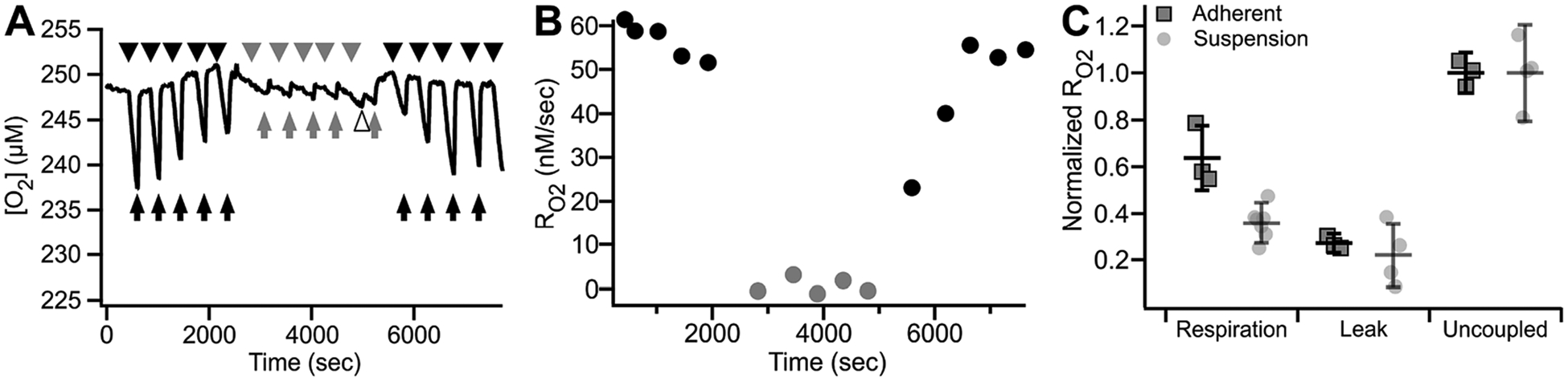 Fig. 9