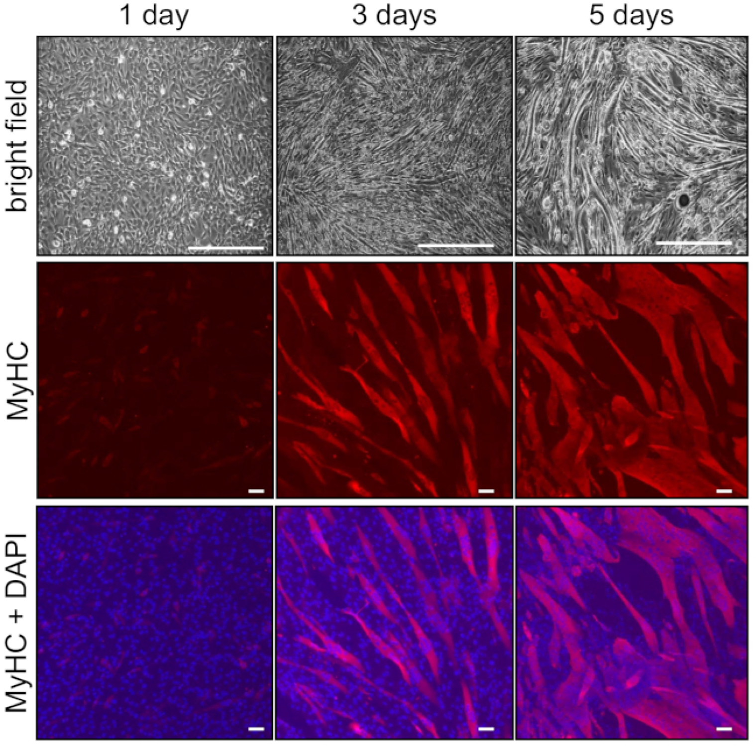 Figure 2: