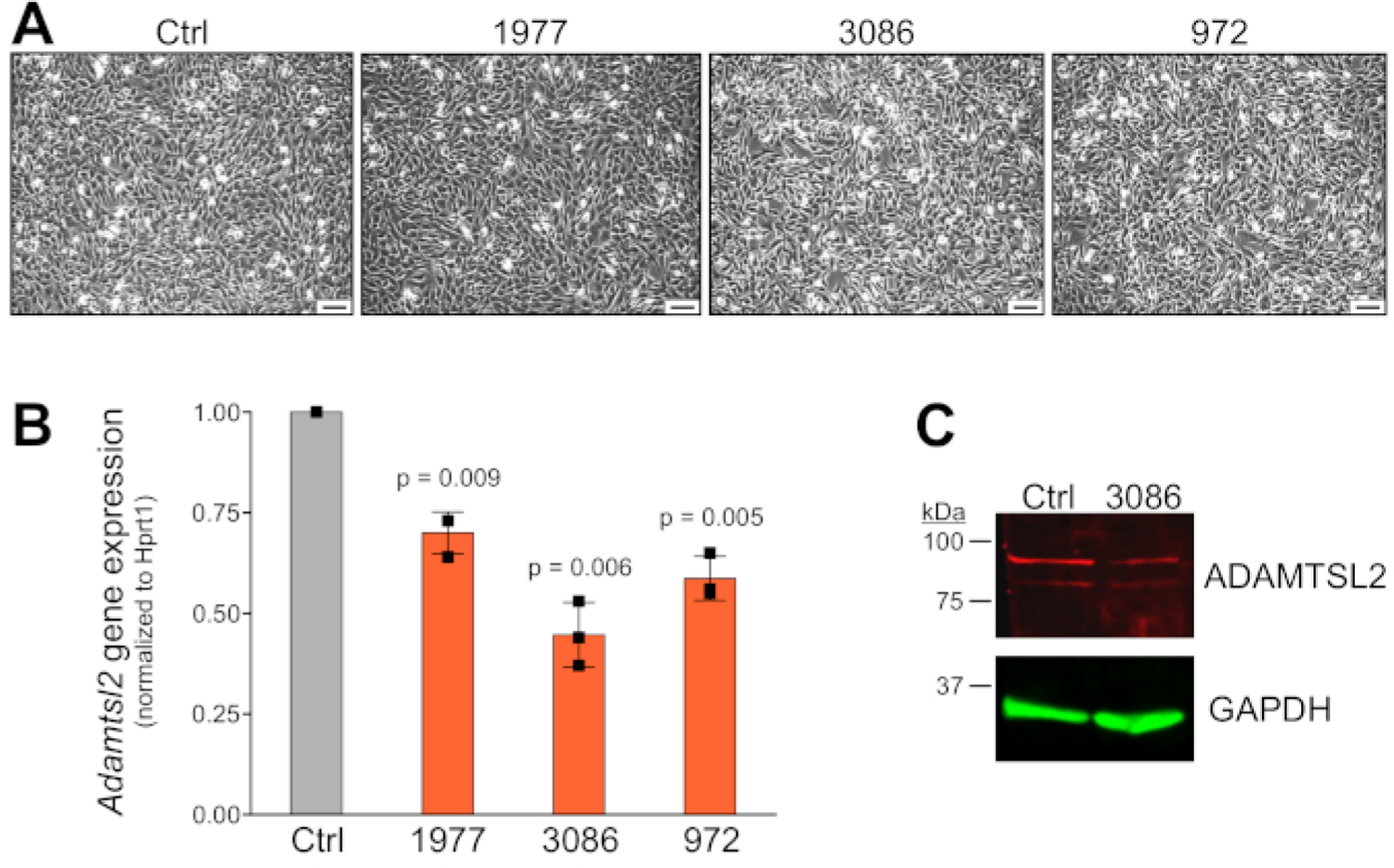 Figure 3: