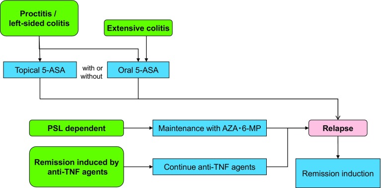 Fig. 6