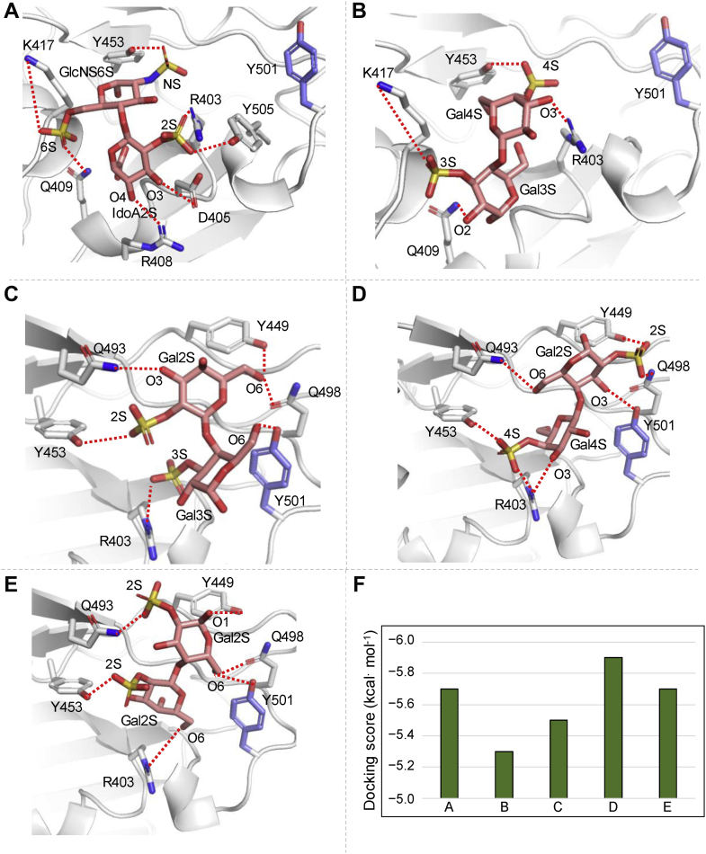 Figure 6