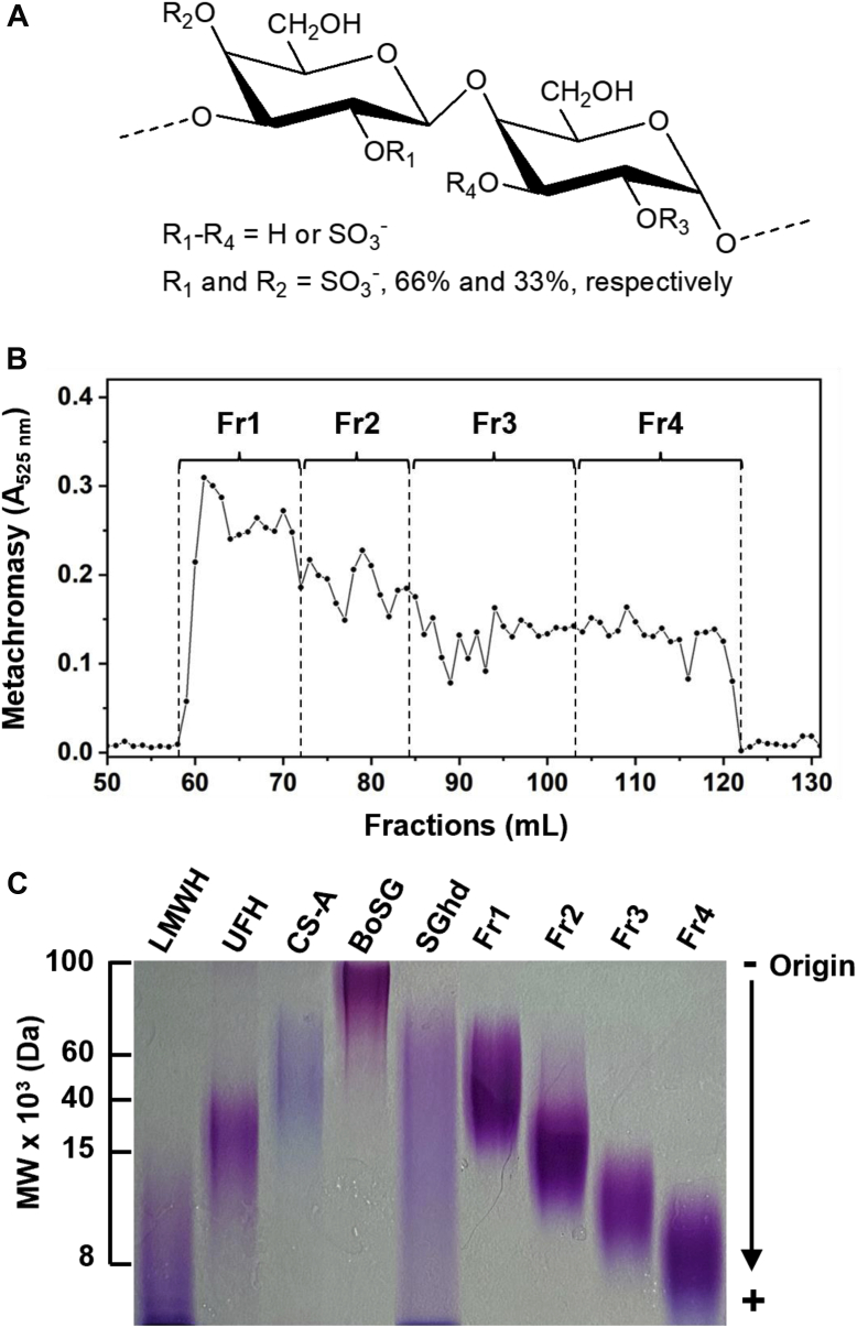 Figure 1