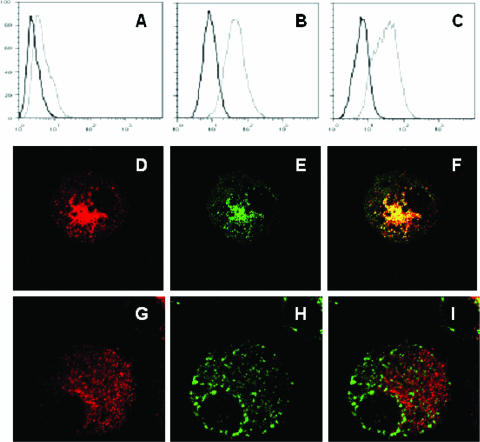 Slc11a1, Formerly Nramp1, Is Expressed In Dendritic Cells And 